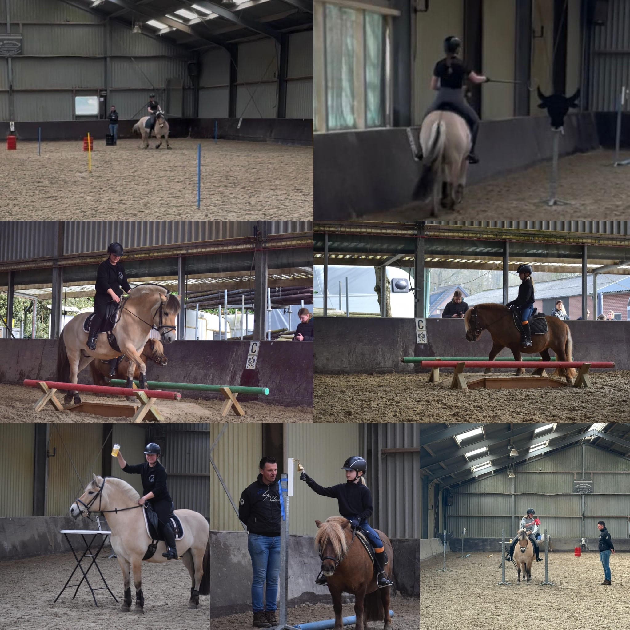 working equitation